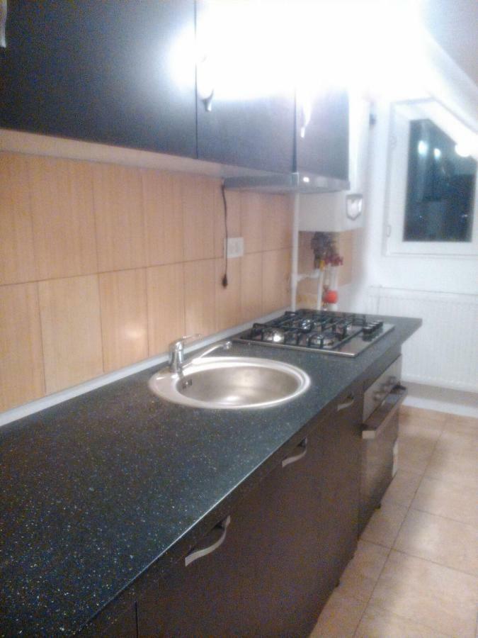 Alexander Apartment ブカレスト エクステリア 写真
